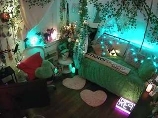 voyeurcam veccasalt 01